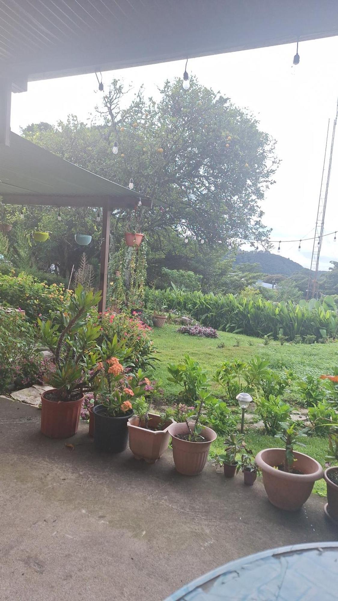 Hostal Vista Boquete Bajo Boquete Εξωτερικό φωτογραφία