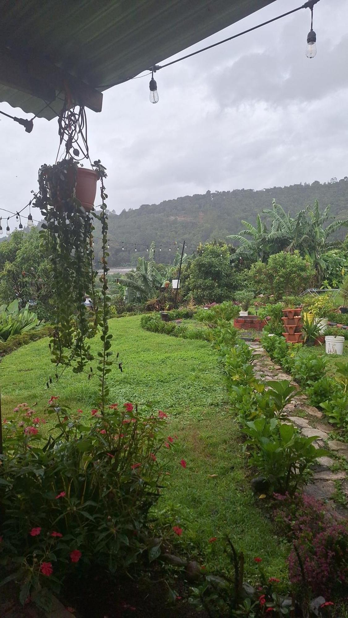 Hostal Vista Boquete Bajo Boquete Εξωτερικό φωτογραφία
