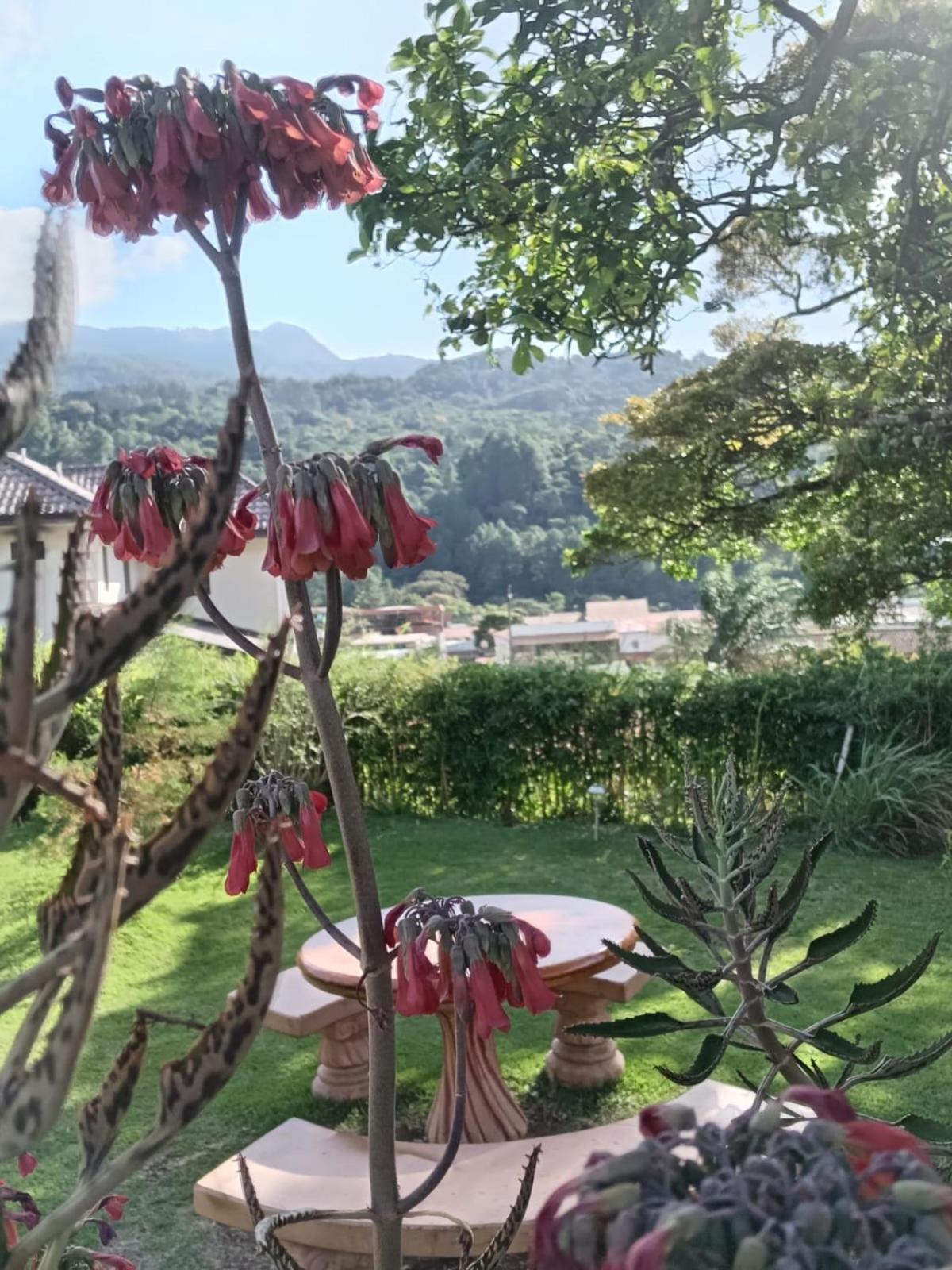 Hostal Vista Boquete Bajo Boquete Εξωτερικό φωτογραφία